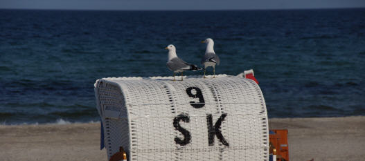 M&ouml;wenstrandaufsicht